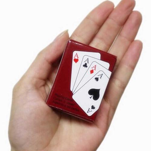 Chiêm ngưỡng quần thể pơ mu 1.300 năm tuổi ở VQG Bidoup – Núi Bà -5
